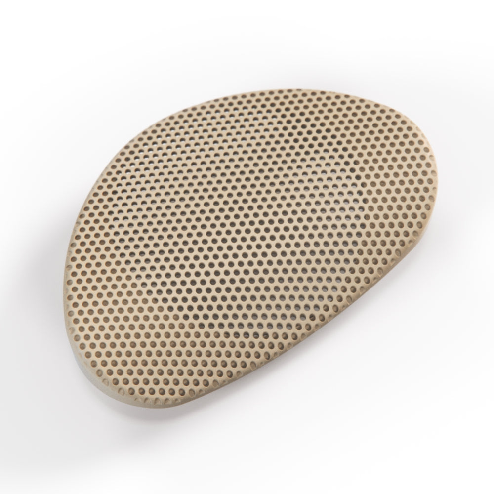 Jaguar XK8 X100 Dashboard Speaker Cover Trim Left Or Right (97-06 GJA6609AC Dash Audio) — view 2